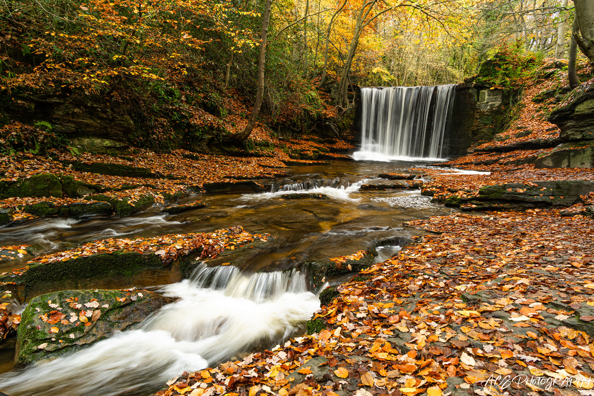 landscapes homepage slider image